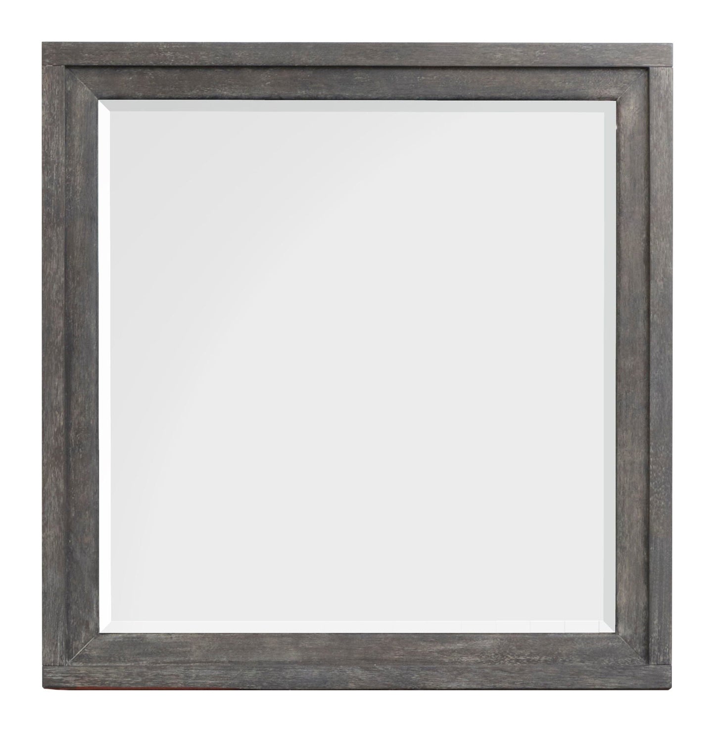Kinsley - Portrait Mirror - Black Heron