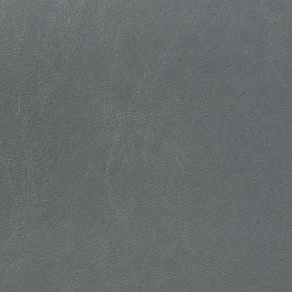 Dorian Faux Leather Upholstered Twin Panel Bed Grey