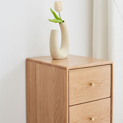 Free-Standing Corner Storage Cabinet For Living Room