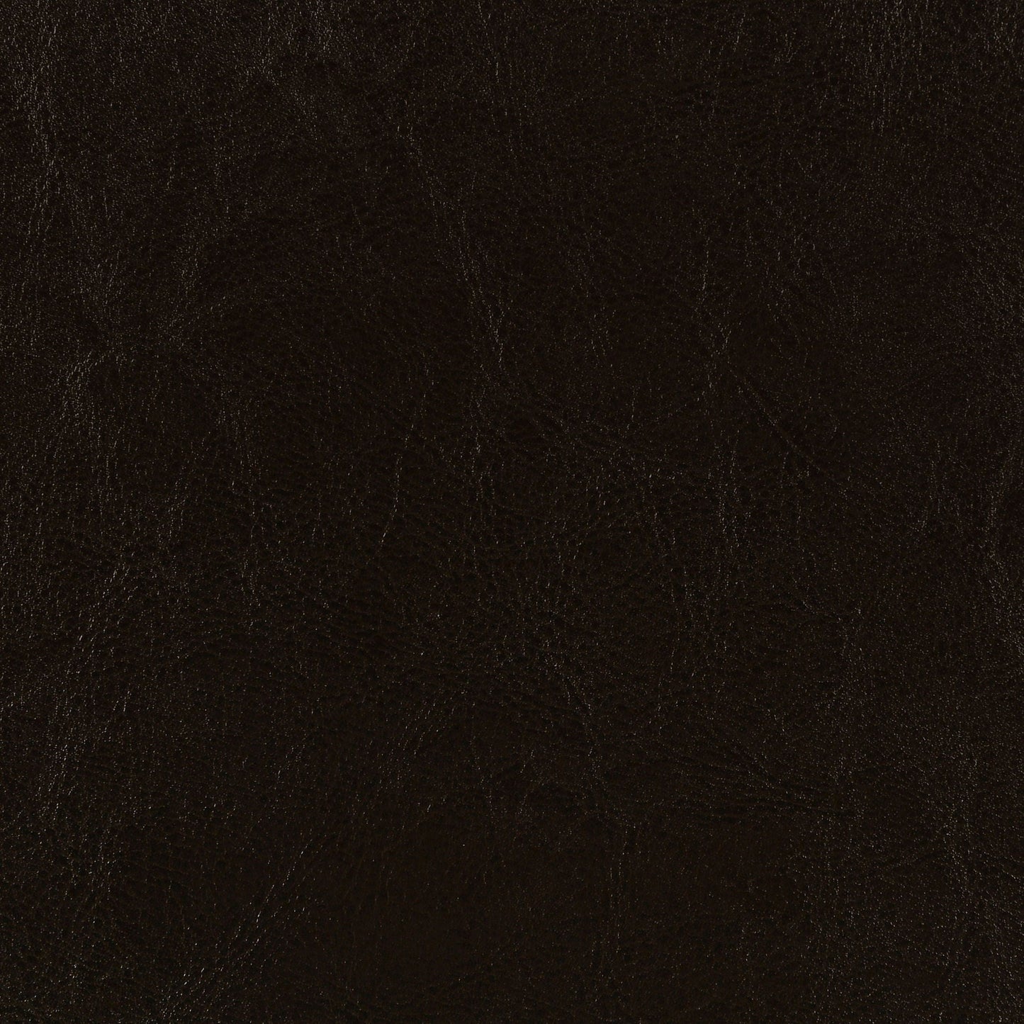Dorian Faux Leather Upholstered Queen Panel Bed Brown