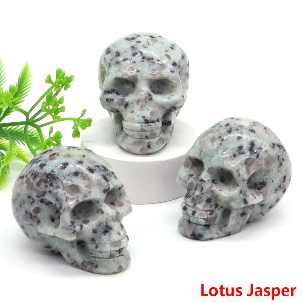 Lotus Jasper
