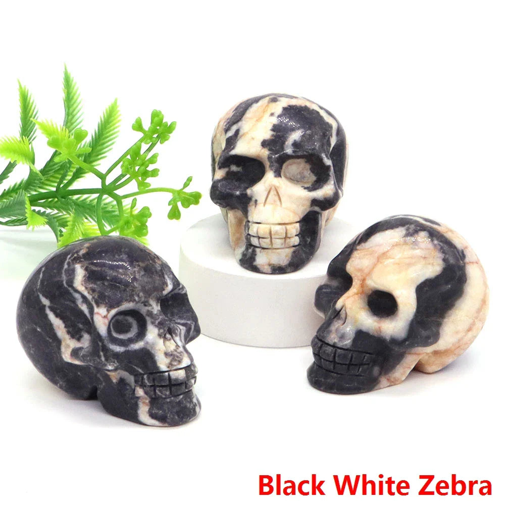 Black White Zebra