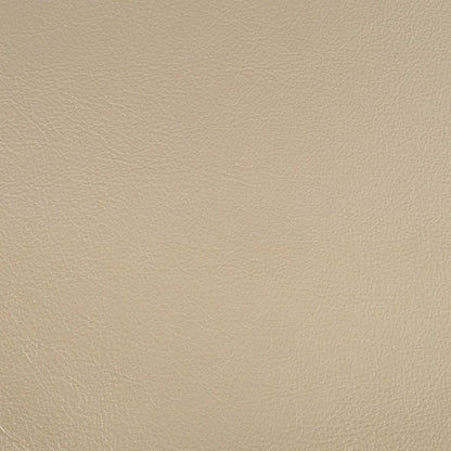 Danae - Arm Chair (Set of 2) - Synthetic Leather , Champagne & Gold
