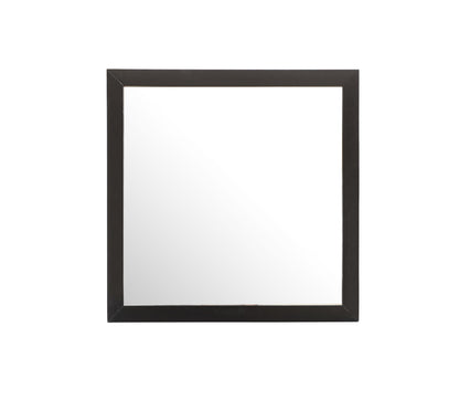 Burlington - Modern Design Transitional Wall Mirror