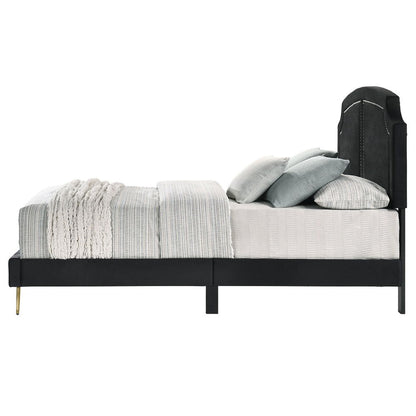 Zeena - Bed