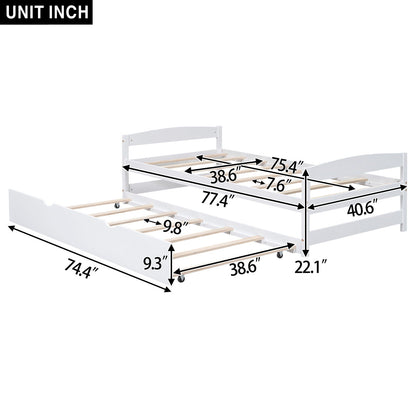 Platform Bed With Trundle